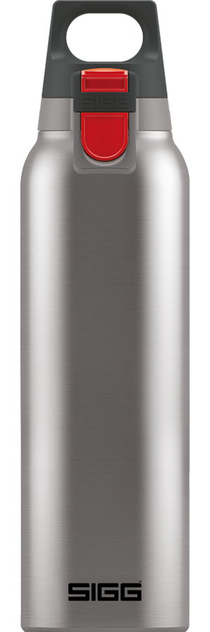 Thermo Flask Hot & Cold ONE Brushed 0.5 L