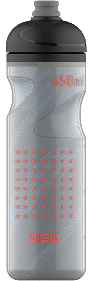 Water Bottle Pulsar Therm Night 0.65 L